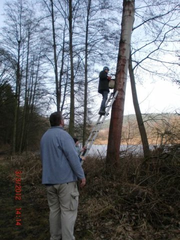 Nistkasten 030312 (60)